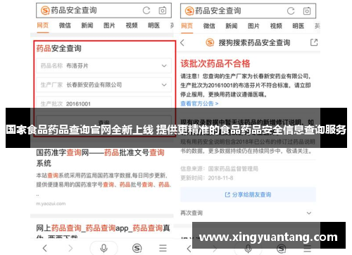 国家食品药品查询官网全新上线 提供更精准的食品药品安全信息查询服务